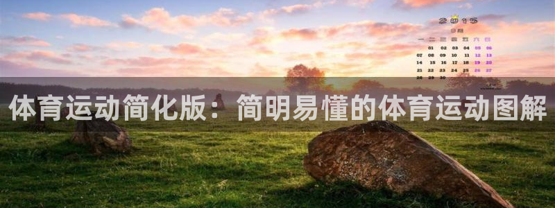 中欧体育平台