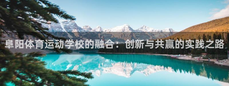 中欧体育zoty下载