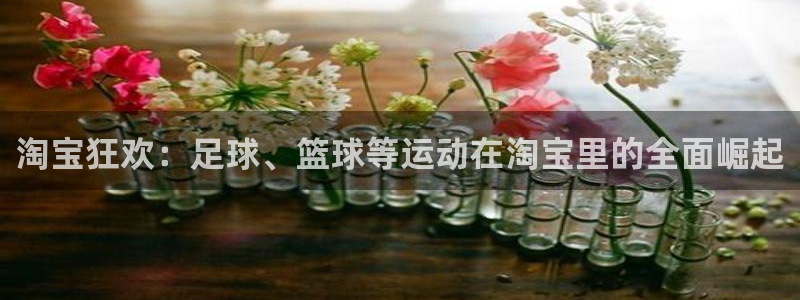 中欧体育官网入口