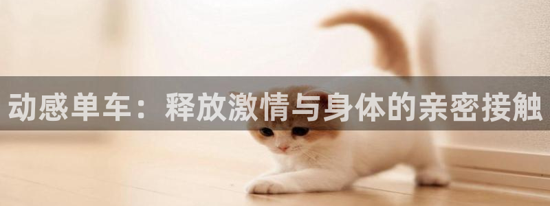 中欧体育在线