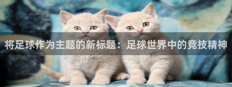 中欧体育在线