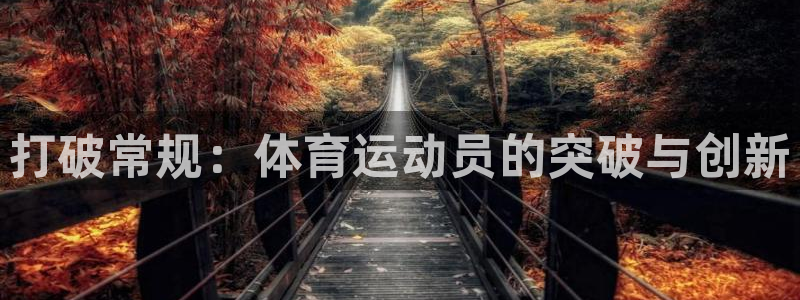 中欧体育客服