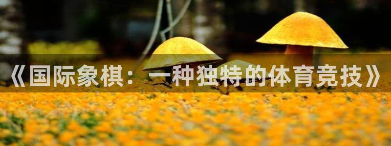 kok中欧体育登录