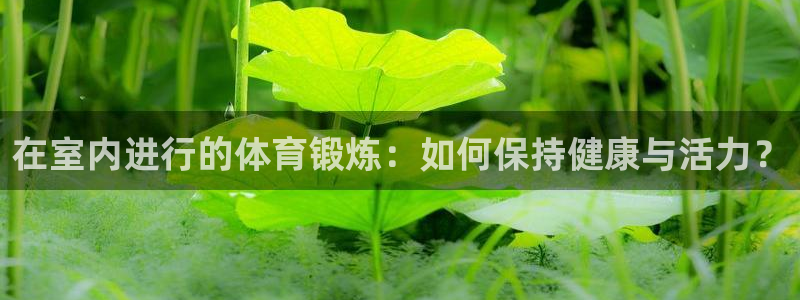 中欧体育官网入口