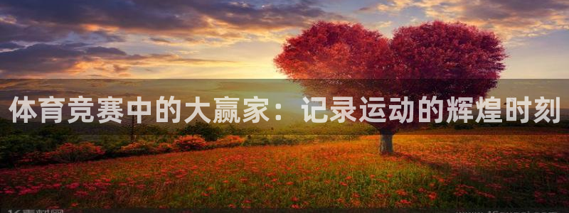 中欧体育集团