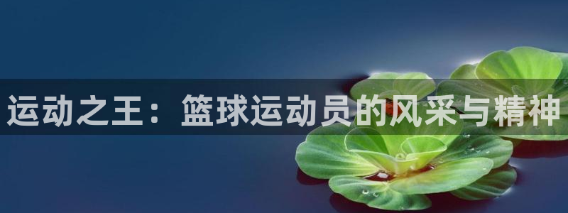 中欧体育网站