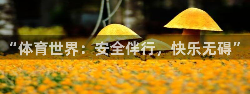 zoty中欧体育