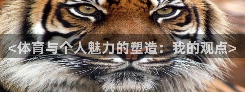 中欧体育在线
