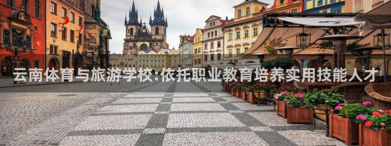 中欧体育网页登录